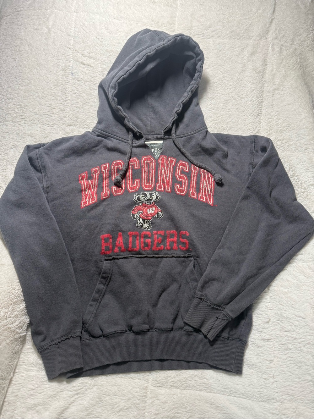 Wisconsin Badgers Campus Heritage Sz Sm Gray Hoodie